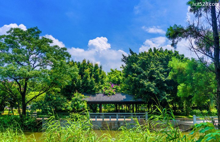 广州大沙河湿地公园