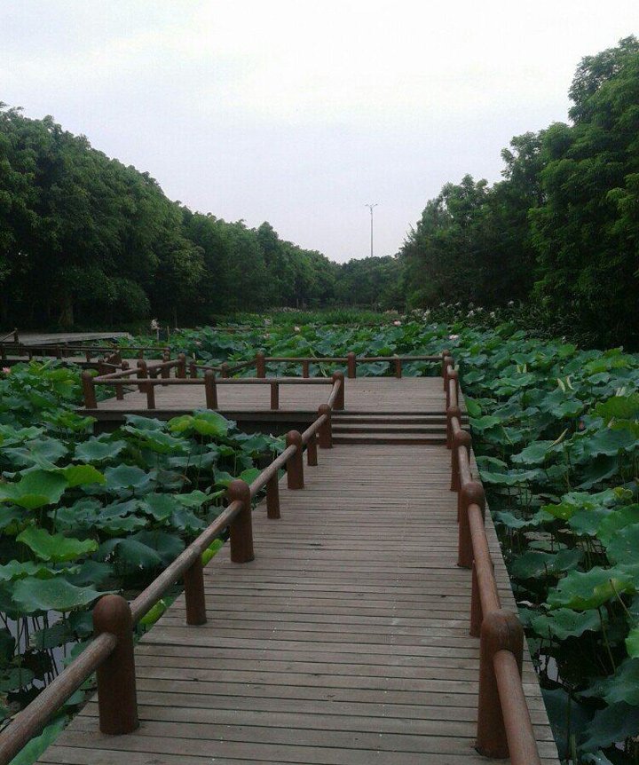 广州大沙河湿地公园