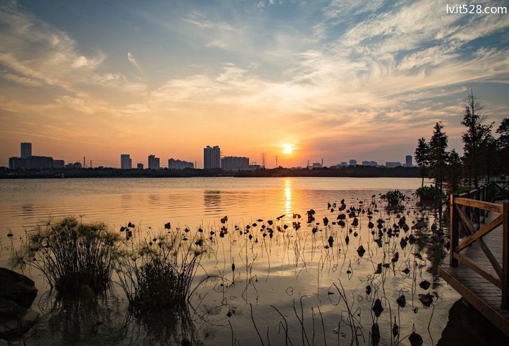 广州海珠湖公园黄昏景色